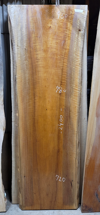 たぶのき一枚板