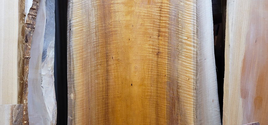 たぶのき無垢一枚板