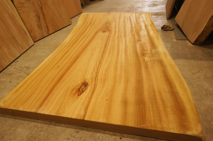 表情豊かなクスノキ