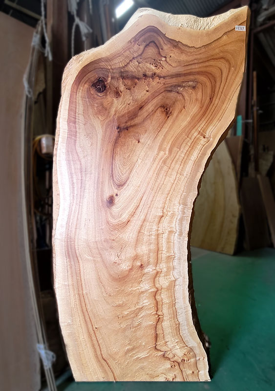 クスノキ一枚板