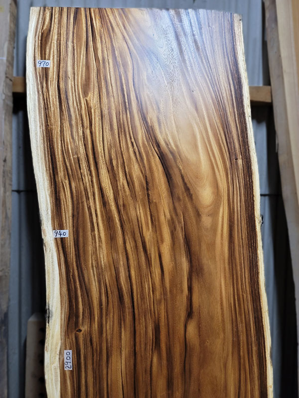 モンキーポット2.9ｍ上