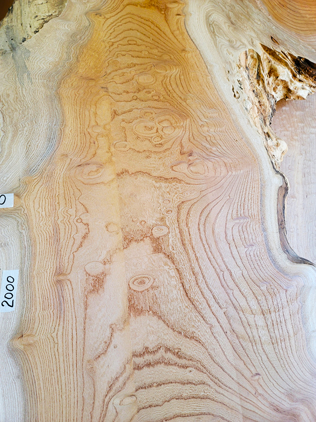 ケヤキ無垢一枚板