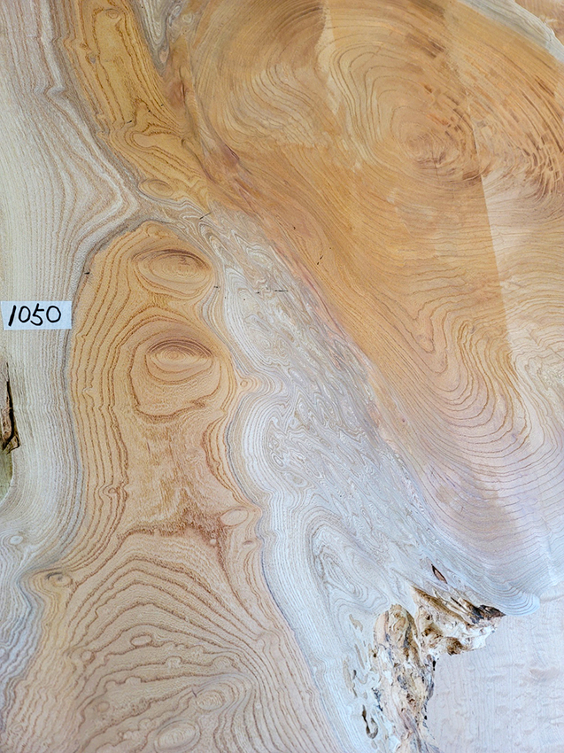 ケヤキ無垢一枚板