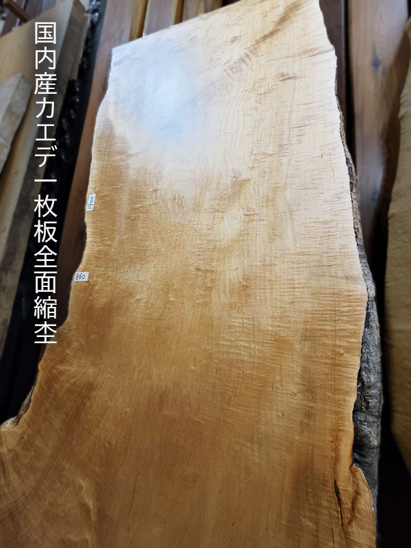 国内産カエデ一枚板全面縮杢