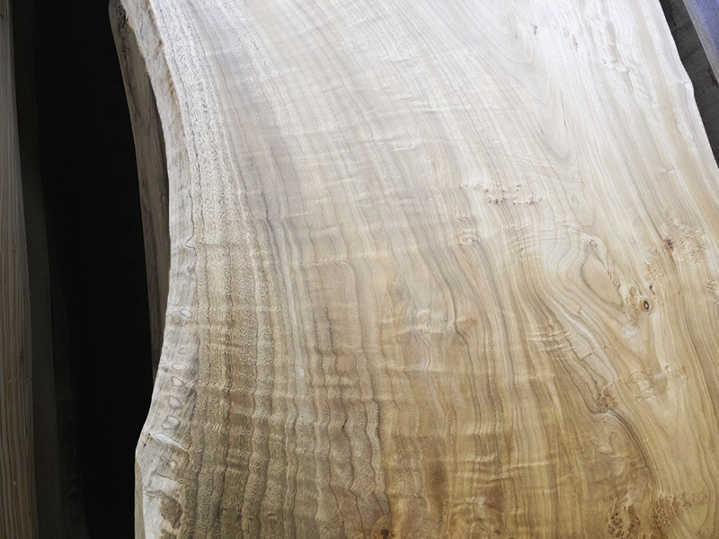 クスノキ横縮杢