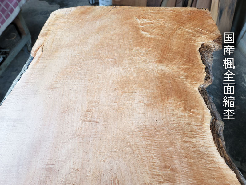 国産楓　全面縮杢