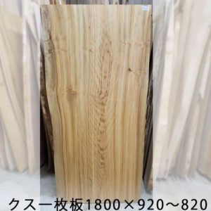 クスノキトップ