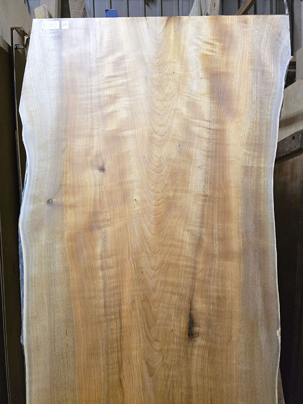 タブ一枚板上部